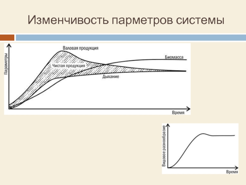 Назовите главные типы сукцессионных изменений