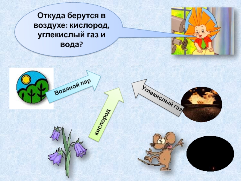 Откуда берется лета. Откуда взялся углекислый ГАЗ. Откуда берется кислород зимой. Откуда берется углекислый ГАЗ В организме. Кислород и углекислый ГАЗ движутся из области.