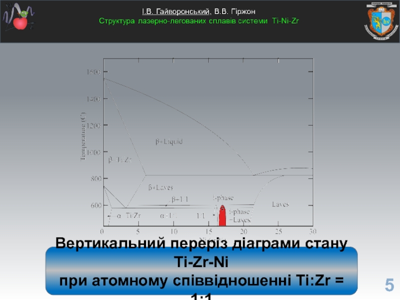 Вертикальний переріз діаграми стану Ti-Zr-Niпри атомному співвідношенні Ti:Zr = 1:1