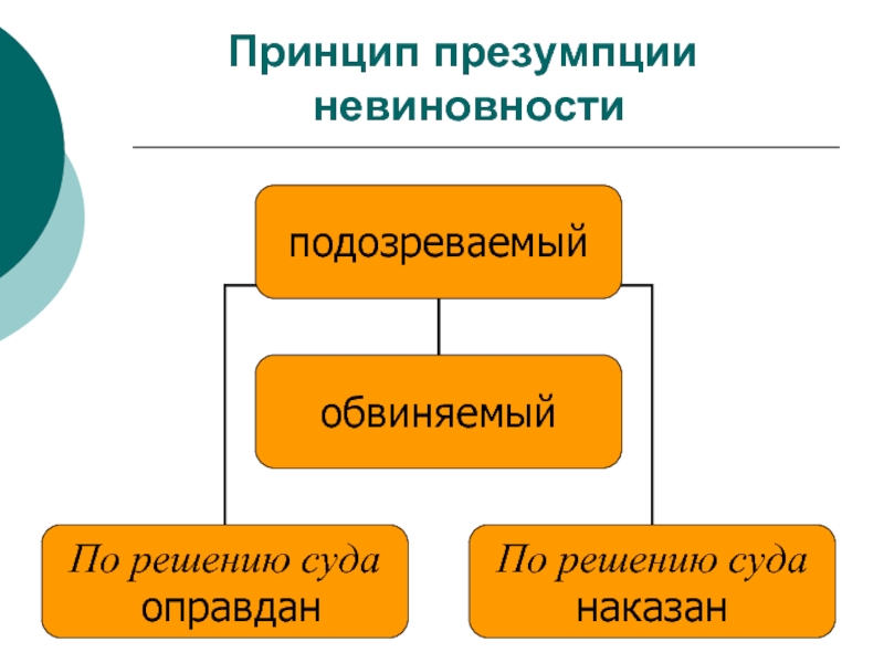 Принцип презумпции невиновности статья