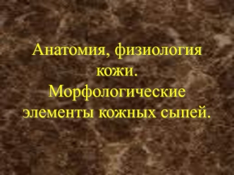 Анатомия, физиология кожи. Морфологические элементы кожных сыпей