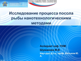 Исследование процесса посола рыбы нанотехнологическими методами