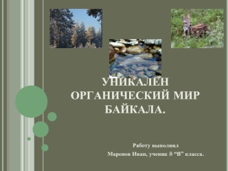 Уникален органический мир Байкала