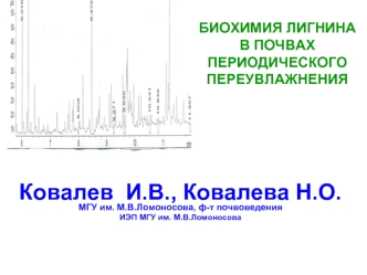 БИОХИМИЯ ЛИГНИНА В ПОЧВАХ ПЕРИОДИЧЕСКОГО ПЕРЕУВЛАЖНЕНИЯ