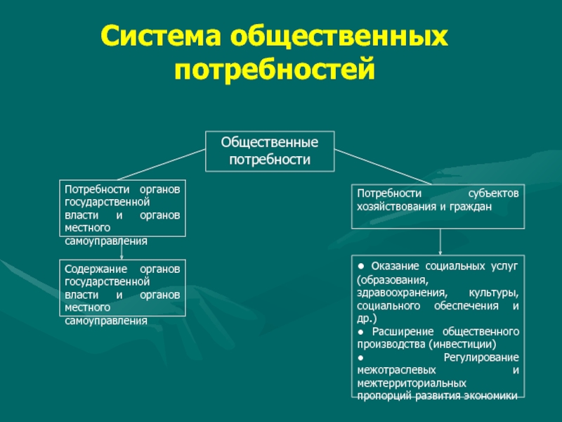 Общественные потребности человека