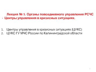 Органы повседневного управления РСЧС. Центры управления в кризисных ситуациях. (Лекция 5)