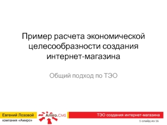 Пример расчета экономической целесообразности создания интернет-магазина