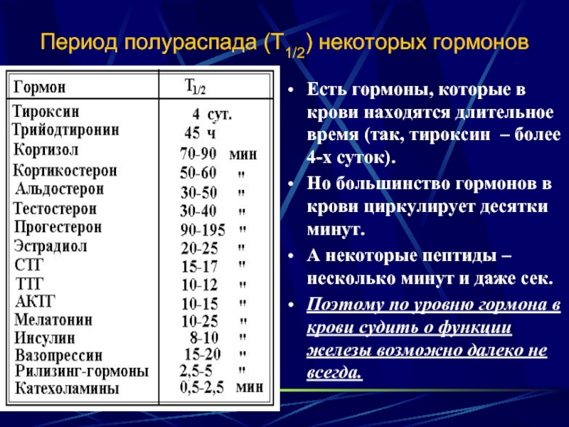 Тестостерон период полувыведения