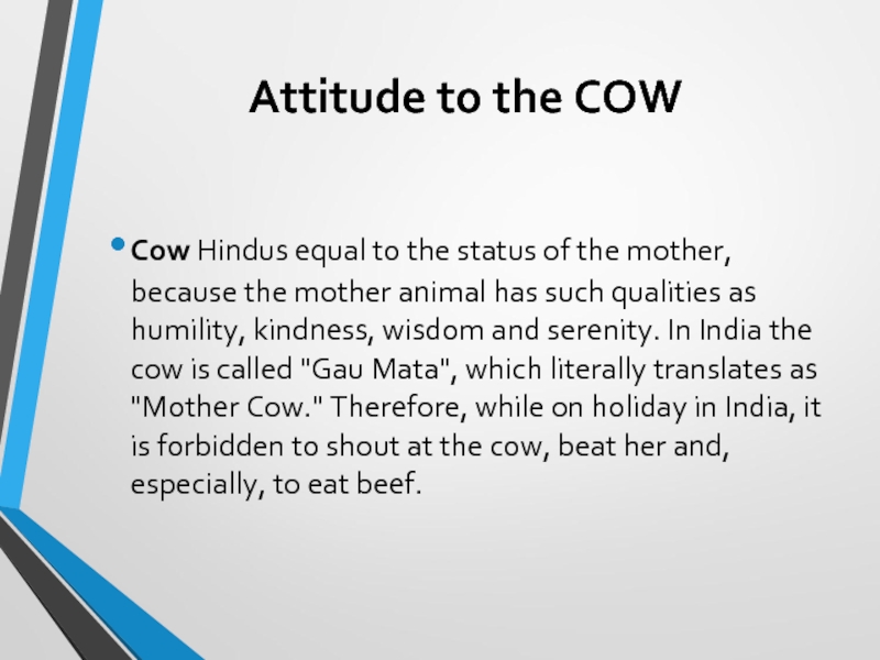 Attitude to the COWCow Hindus equal to the status of the