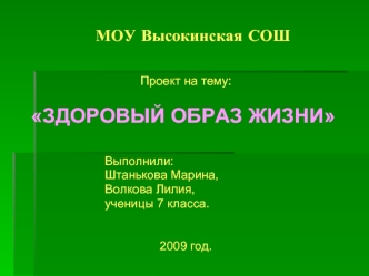 МОУ Высокинская СОШ