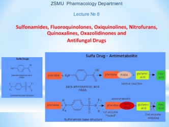 Sulfonamides, fluoroquinolones, oxiquinolines, nitrofurans, quinoxalines, oxazolidinones and antifungal drugs