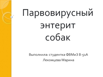 Парвовирусный энтерит собак