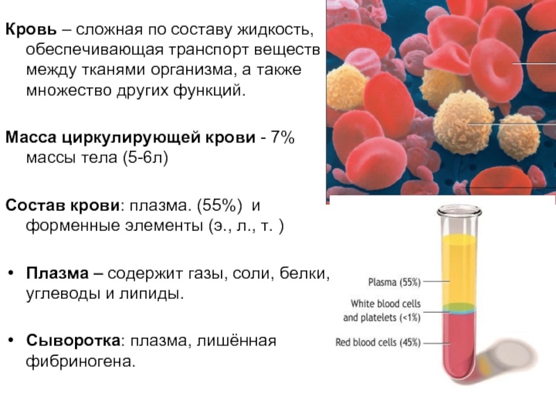 Тест элемента крови