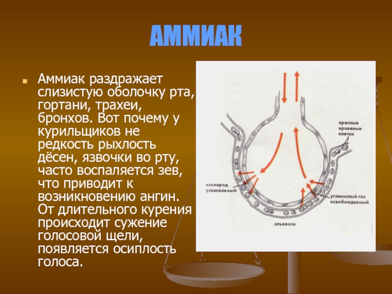 Не дают трахее сужаться. Раздражение слизистой оболочки бронхов. Раздражение слизистой трахеи. Раздражение слизистой оболочки легких, бронхов, трахеи, гортани. Раздражение аммиаком.