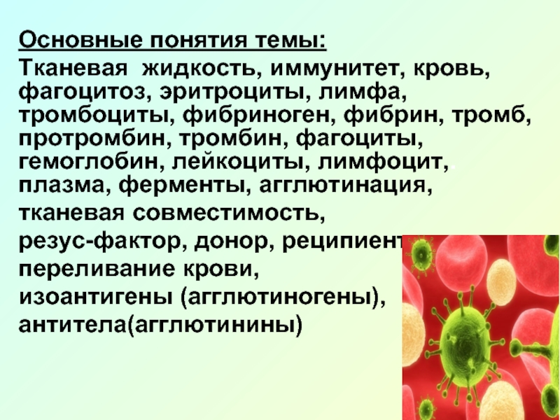 Фибриноген входит в состав эритроцитов. Агглютинация тромбоцитов. Фагоцитоз эритроцитов. Тромбоциты фагоцитоз. Тромбоциты фибриноген фибрин.