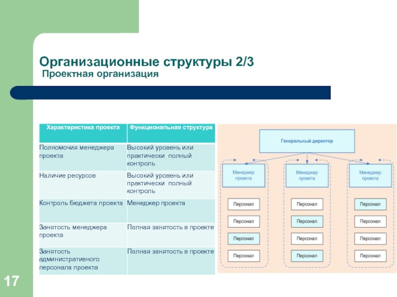 Проектная организационная структура проекта