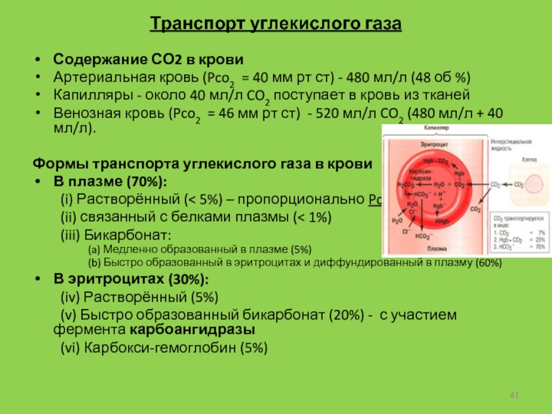 Содержание в крови три