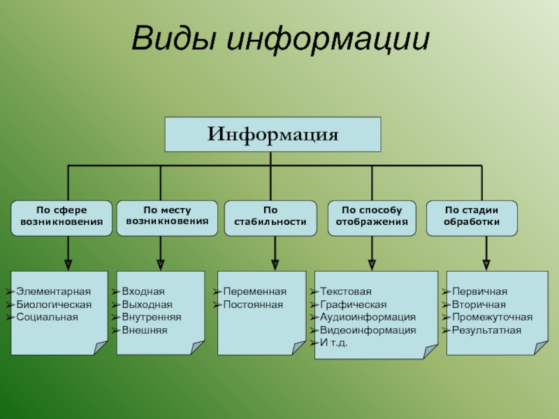 7 видов информации. Виды информации. Виды и типы информации. Средства отображения информации виды. Классификация информации по месту возникновения.