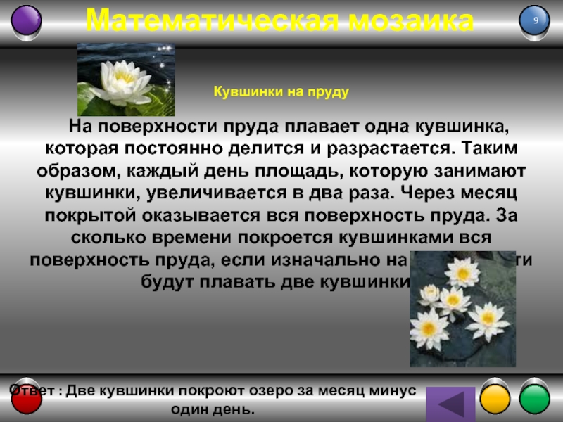 Кувшинки покрывают озеро за 48 дней ответ. Задача про кувшинки на пруду 48 дней.