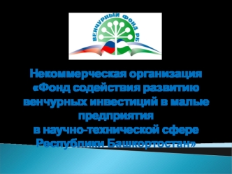 Некоммерческая организация Фонд содействия развитию венчурных инвестиций в малые предприятия в научно-технической сфере Республики Башкортостан