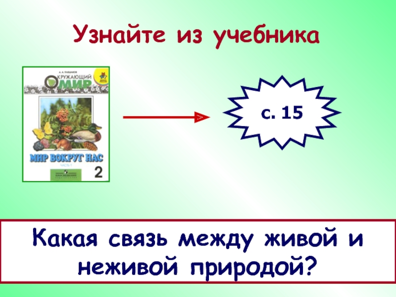 Существуют связи между неживой и живой. Связь между живой и неживой природой. Живая и неживая природа связь между ними. Связь живого и неживого. Связь между живой и неживой природой 2.