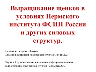 Выращивание щенков в условиях Пермского института ФСИН России и других силовых структур