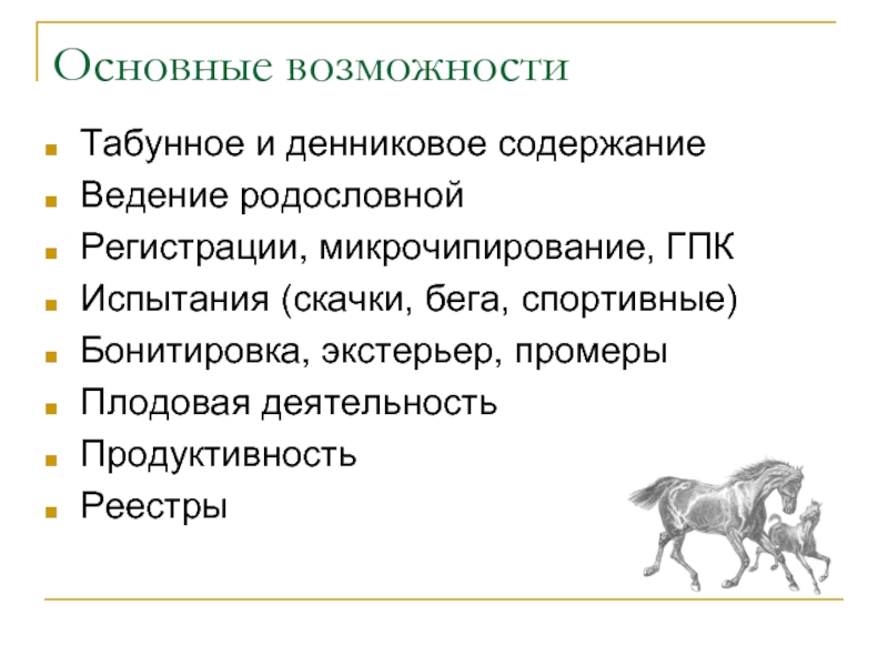 Содержание ведения. Программа помощник коневода. Табунное содержание. Содержание ведение. Биологические особенности табунных лошадей.