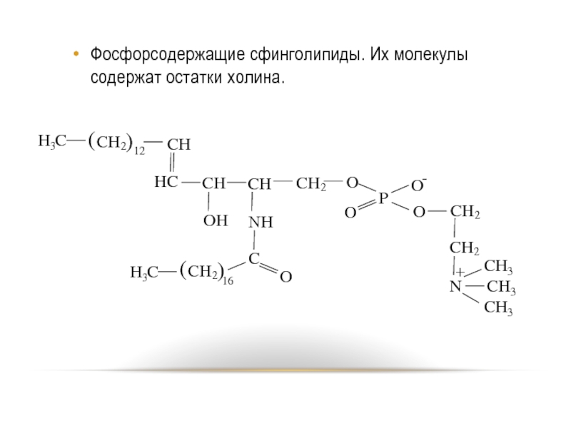 Структура глицерофосфатов и сфинголипидов. Сфинголипиды биохимия. Функции сфинголипидов биохимия. Сфинголипиды и гликолипиды. Сфинголипиды строение.