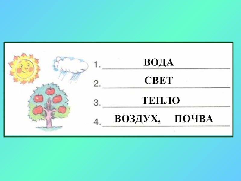 Свет и воздух. Свет почва воздух вода. Вода свет воздух тепло. Свет тепло вода. Свет вода воздух.