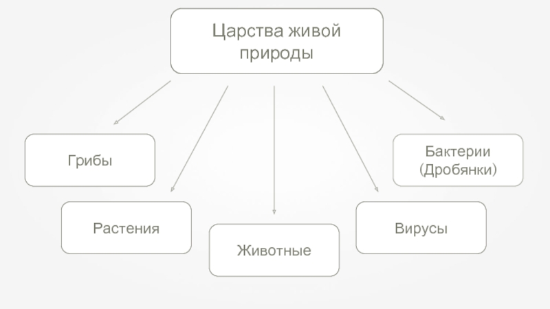 География 6 класс презентация царства живой природы