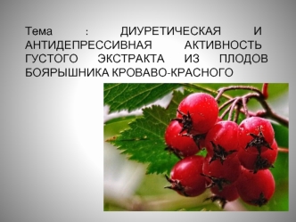 Диуретическая и антидепрессивная активность густого экстракта из плодов боярышника кроваво-красного