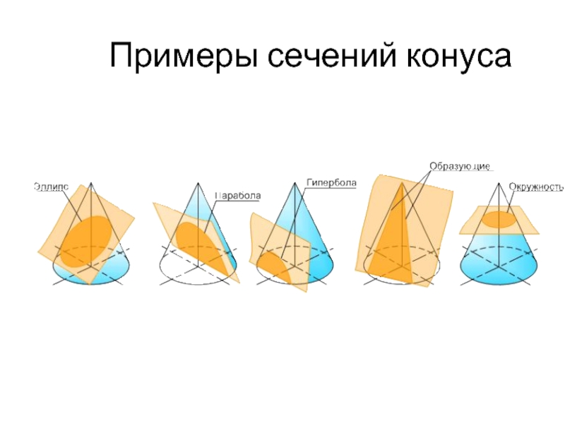 Конус примеры. Виды конических сечений примеры. Какой вид не может иметь сечение конуса?.