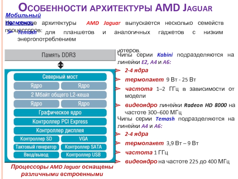 Реферат: Процессоры AMD Архитектура и эволюция