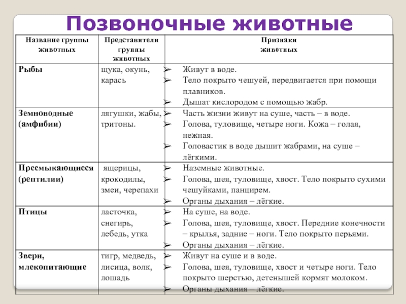 Презентация группы животных 3 класс окружающий мир