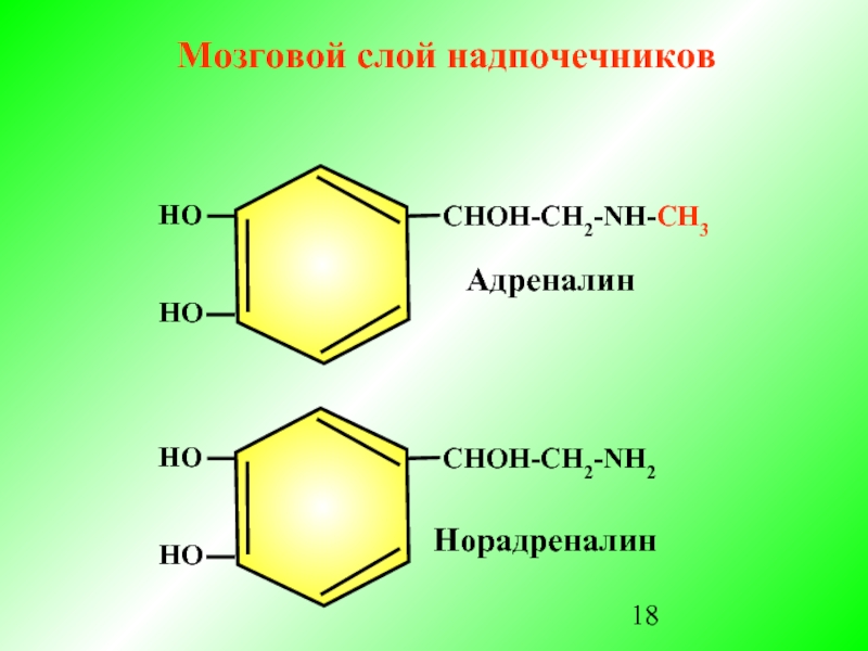 Гормон мозгового. Гормоны мозгового слоя надпочечников. Адреналин норадреналин гормоны мозгового слоя надпочечников. Гормоны мозг.слоя надпочечников. Формула гормонов мозгового слоя надпочечников.