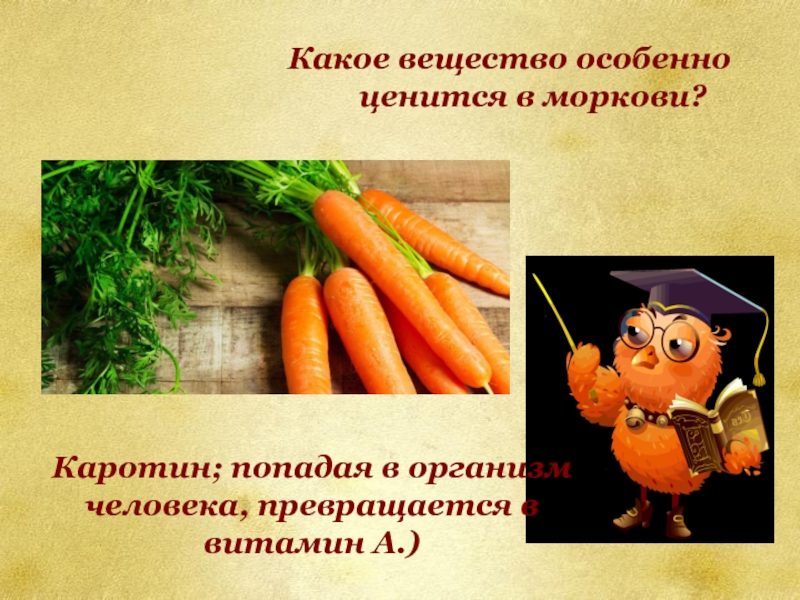 Какое вещество особенно ценится в моркови?  Каротин; попадая в организм человека,