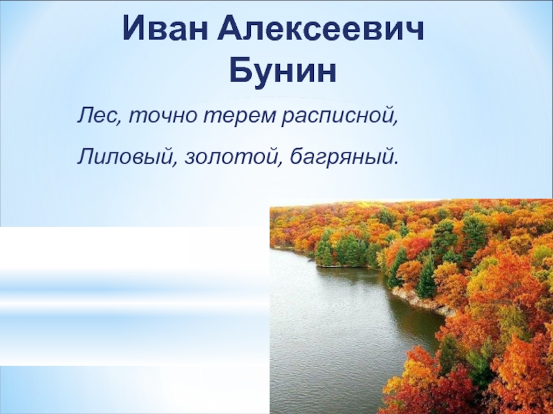 Бунин лес точно терем расписной. Иван Бунин лес точно Терем расписной. Иван Алексеевич Бунин листопад. Бунин Иван Алексеевич лес точно Терем расписной. Бунин лес, точно Терем расписной, лиловый, золотой, багряный.