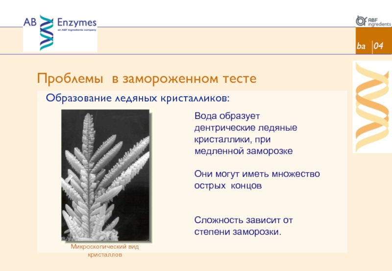 Теория медленного замораживания презентация