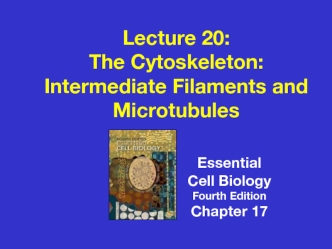 The Cytoskeleton: Intermediate Filaments and Microtubules