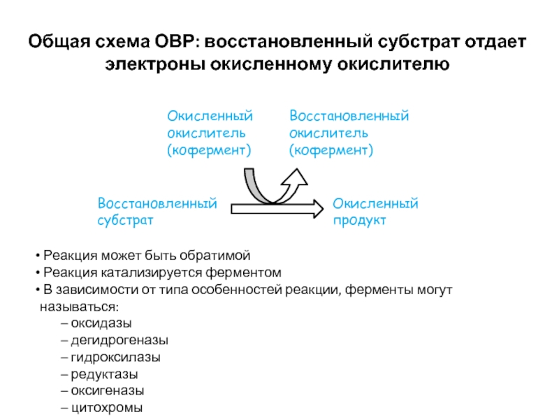 Как называется процесс восстановления хвоста. Общая схема ферментативных реакций. Коферменты окислительно-восстановительных реакций. Восстановление субстрата.