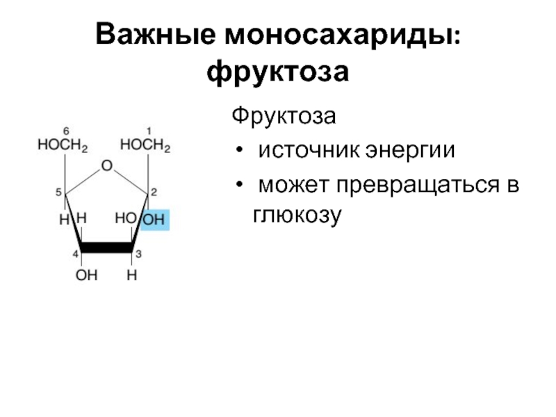 Глюкоза галактоза рибоза. Строение моносахаридов биохимия. Основные моносахариды формулы. Важнейшие представители моносахаридов. Моносахариды модель.