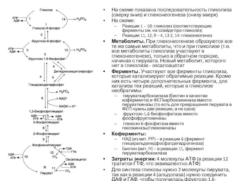 Конечные продукты реакций. Гликолиз биохимия схема процесса ферменты локализация. Гликолиз схема с ферментами. Регуляция гликолиза схема. Гликолиз схема процесса локализация ферментов.