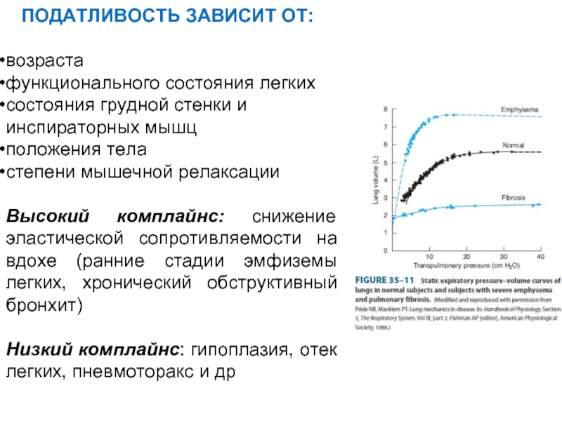 Состояние легкого. Динамический комплайнс норма. Динамический комплайнс легких. Статический комплайнс легких это. Податливость легких норма.