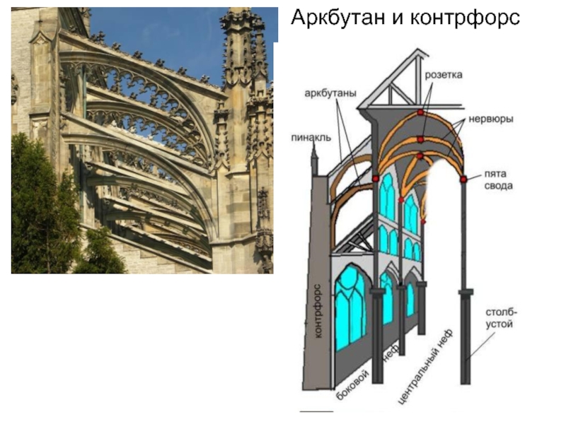 Аркбутан в архитектуре