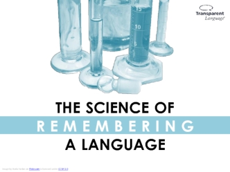 The Science of Remembering a Language