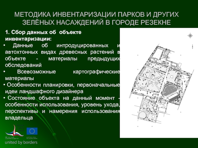 Инвентаризационный план зеленых насаждений