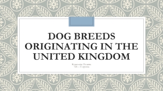 Dog breeds originating in the United Kingdom