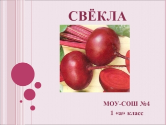 Свёкла