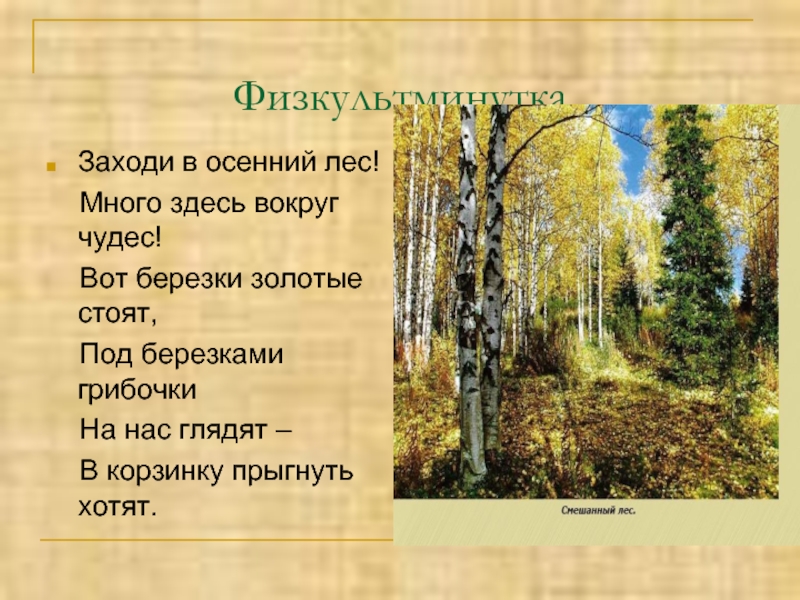 Здесь вокруг. Физкультминутка про березу. Физкультминутка Березка. Физкультминутка о Березе для детей. Физминутка про березу для детей.