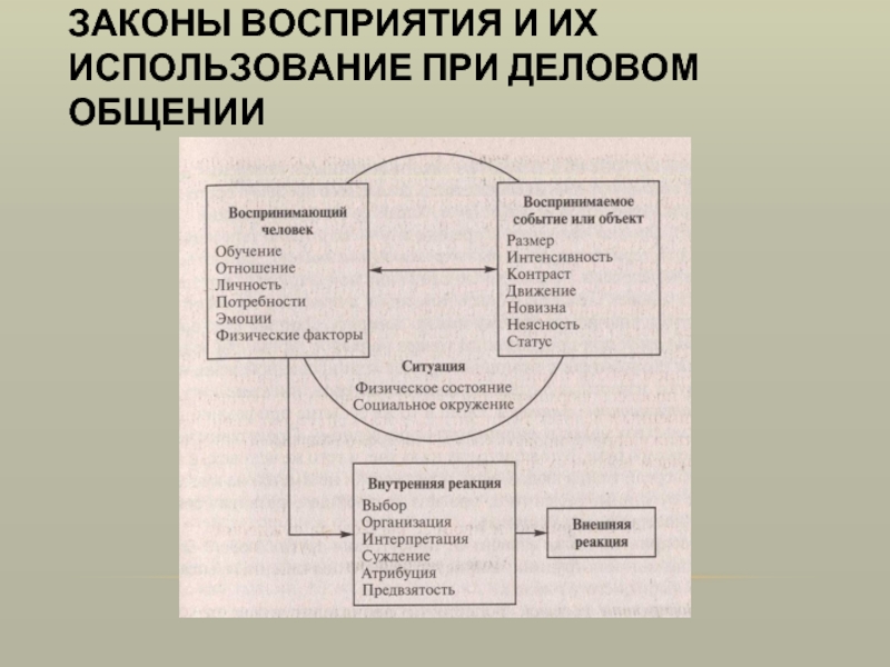 Законы восприятия. Закон перцепции. Законы перцептивной организации. Закон перцепции Ланге. Закон перцепции Ланге кратко.